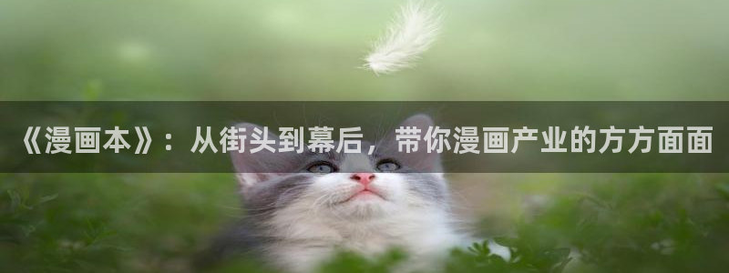 在线观看虫虫漫画：《漫画本》：从街头到幕后，带你漫画产业的方方面面